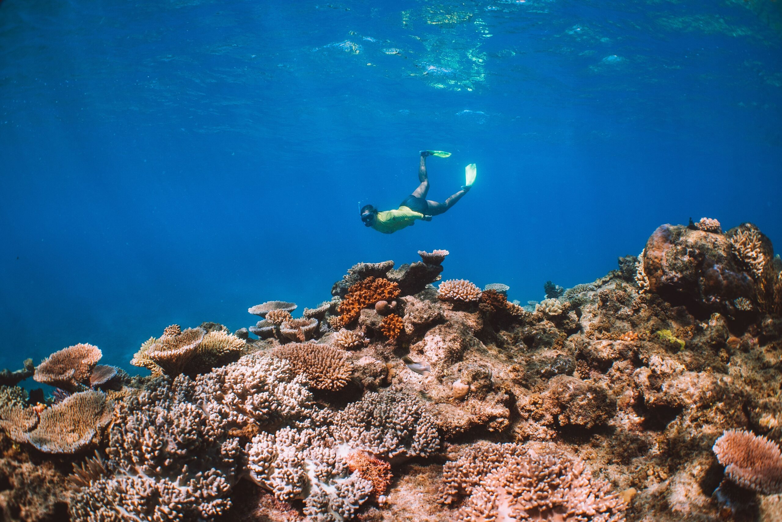 Snorkelling the Great Barrier Reef