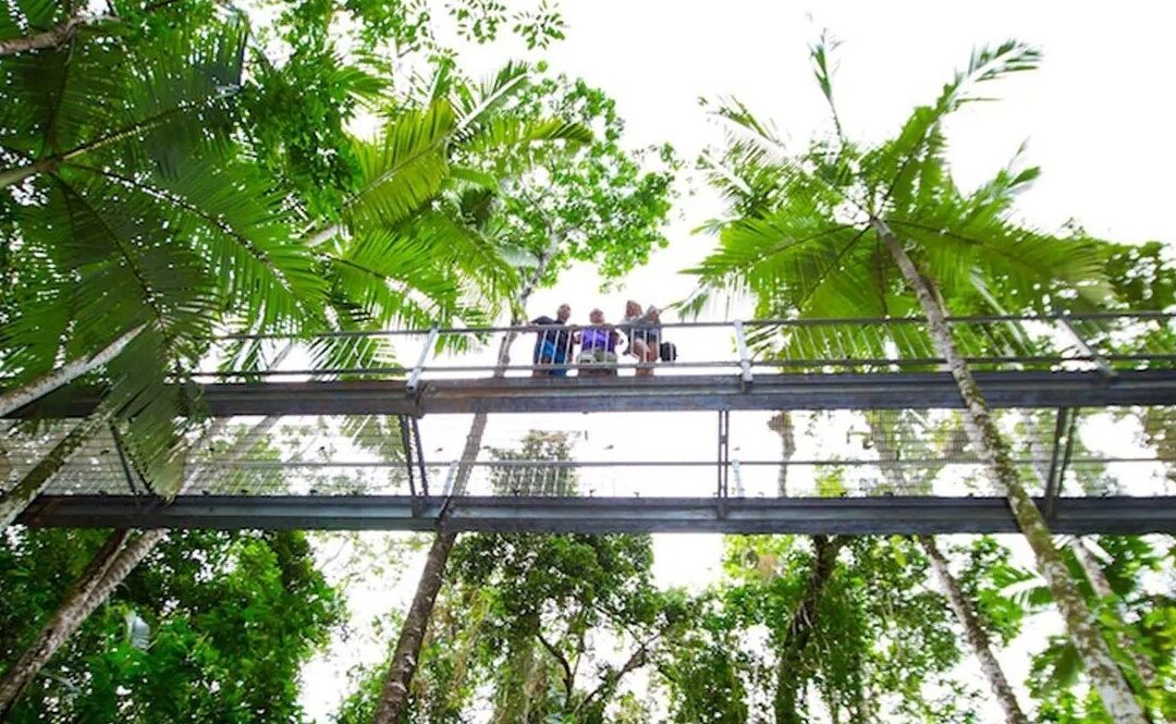 Daintree Discovery Centre