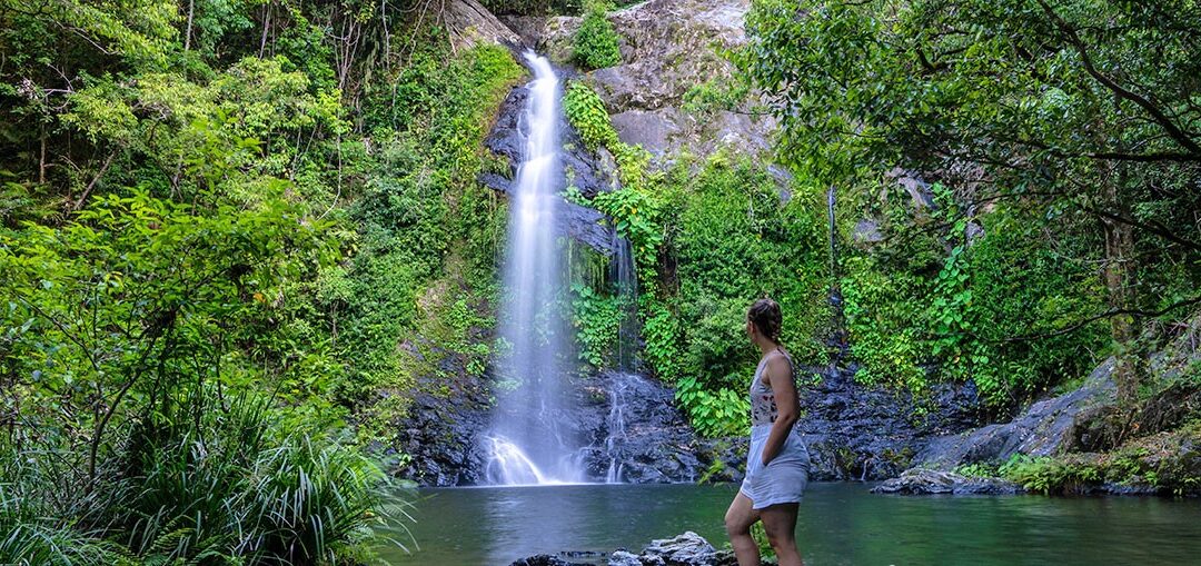 Cassowary Falls