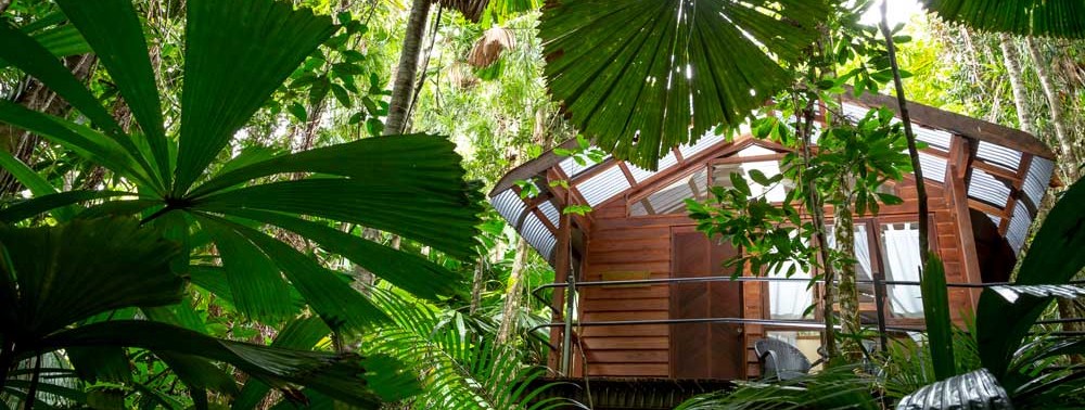 Daintree Wilderness Lodge
