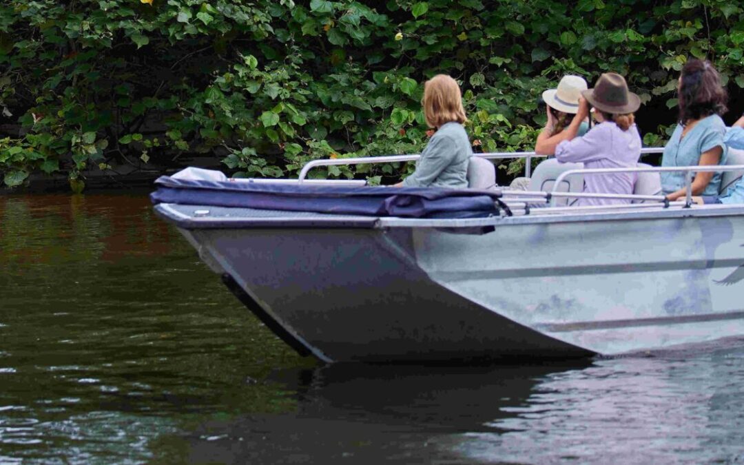Daintree Boatman Wildlife Cruises