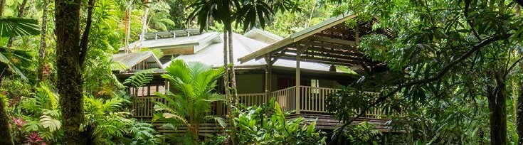 Daintree Secrets