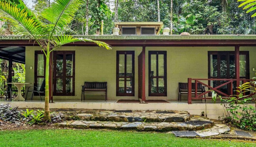 Deep Forest Lodge