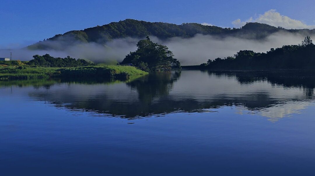 Daintree Riverview Lodge and Van Park