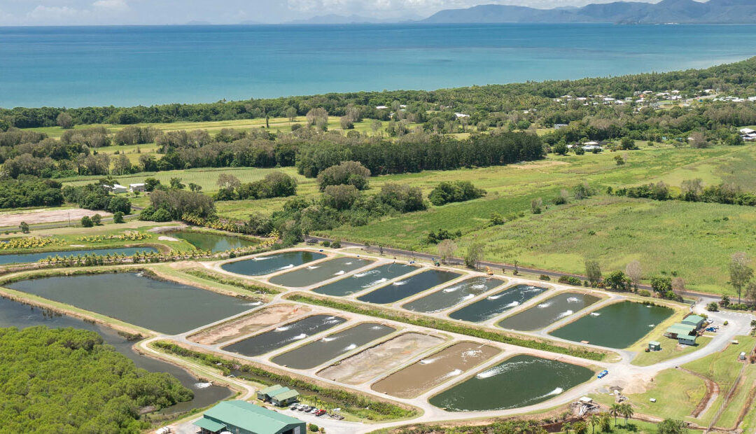 Daintree Sensations – Food Bus Tour
