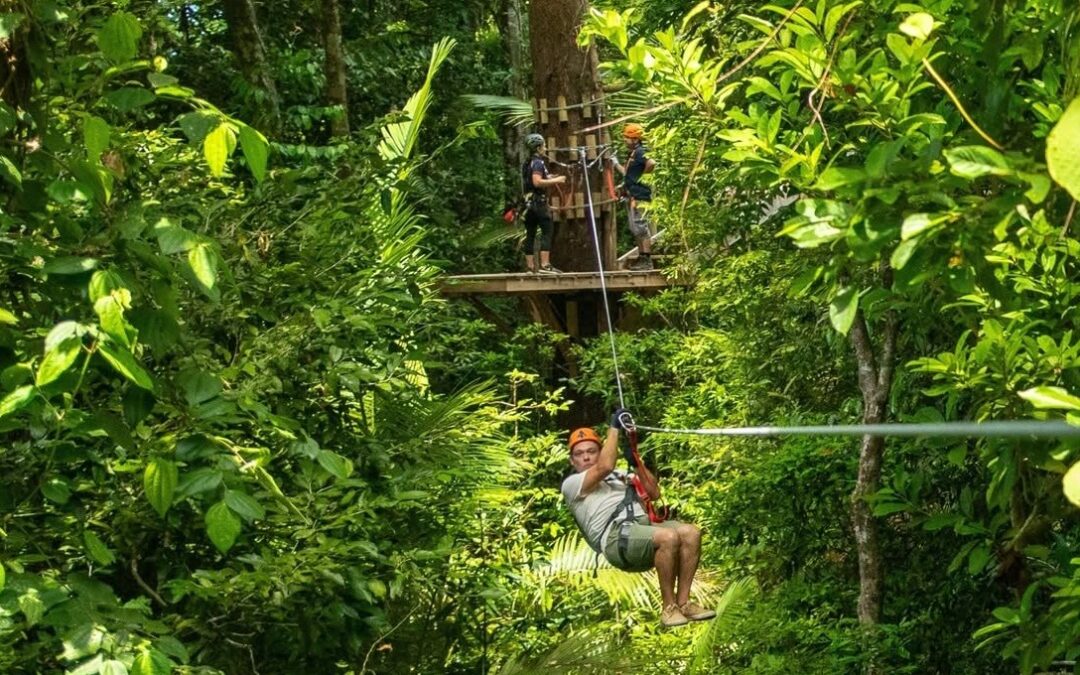 Daintree Tours