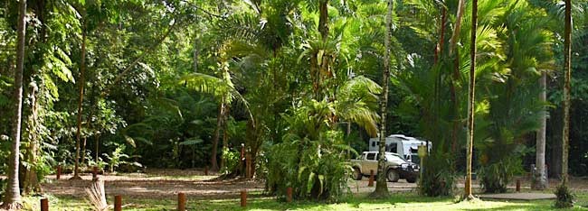 Daintree Siesta