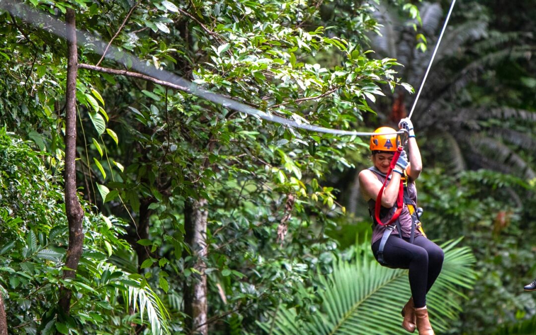 Treetops Adventure Cape Tribulation