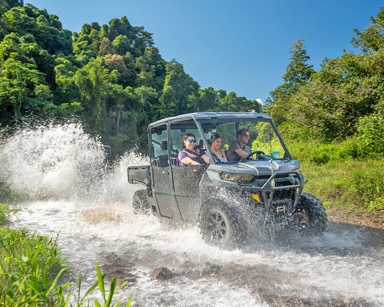Cassowary Falls